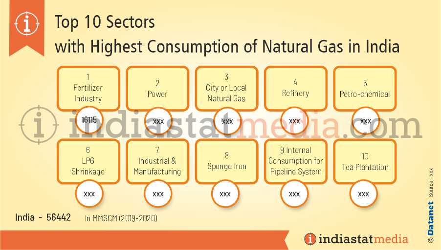 Top 10 Sectors with Highest Consumption of Natural Gas in India (2019-2020)