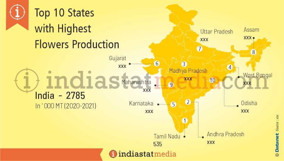 Top Flower Producers In The World Best Flower Site